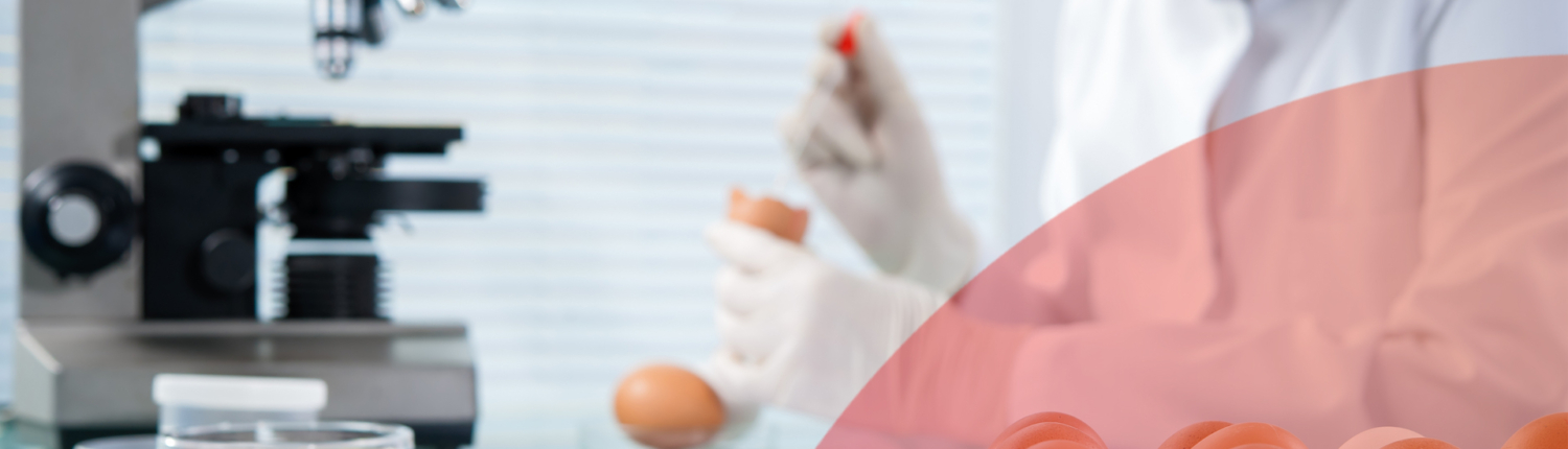 Food and Pharma