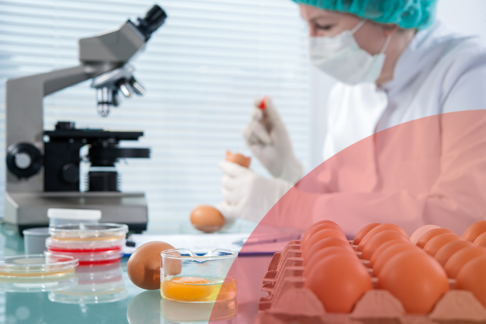 Food and Pharma